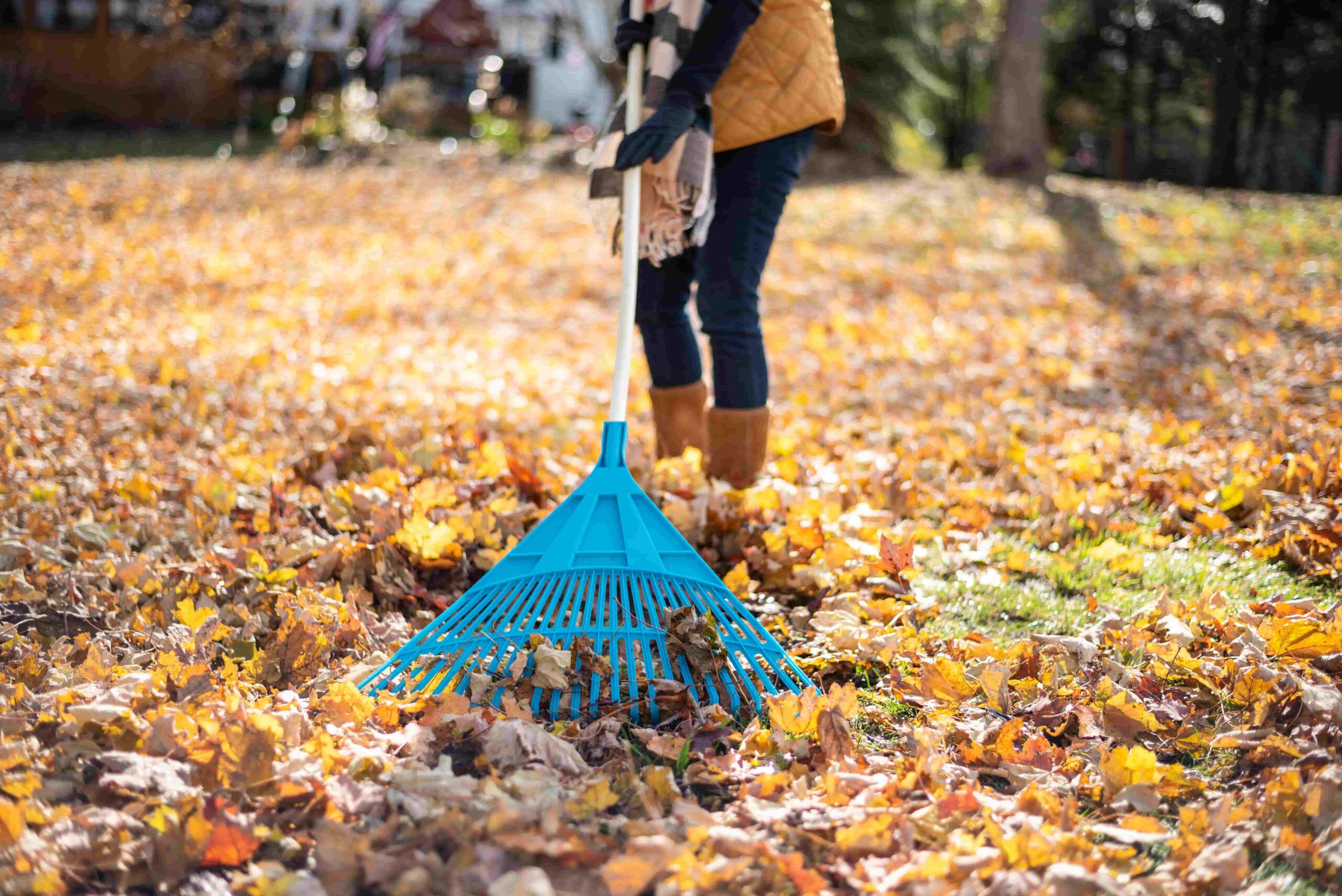 garden waste removal