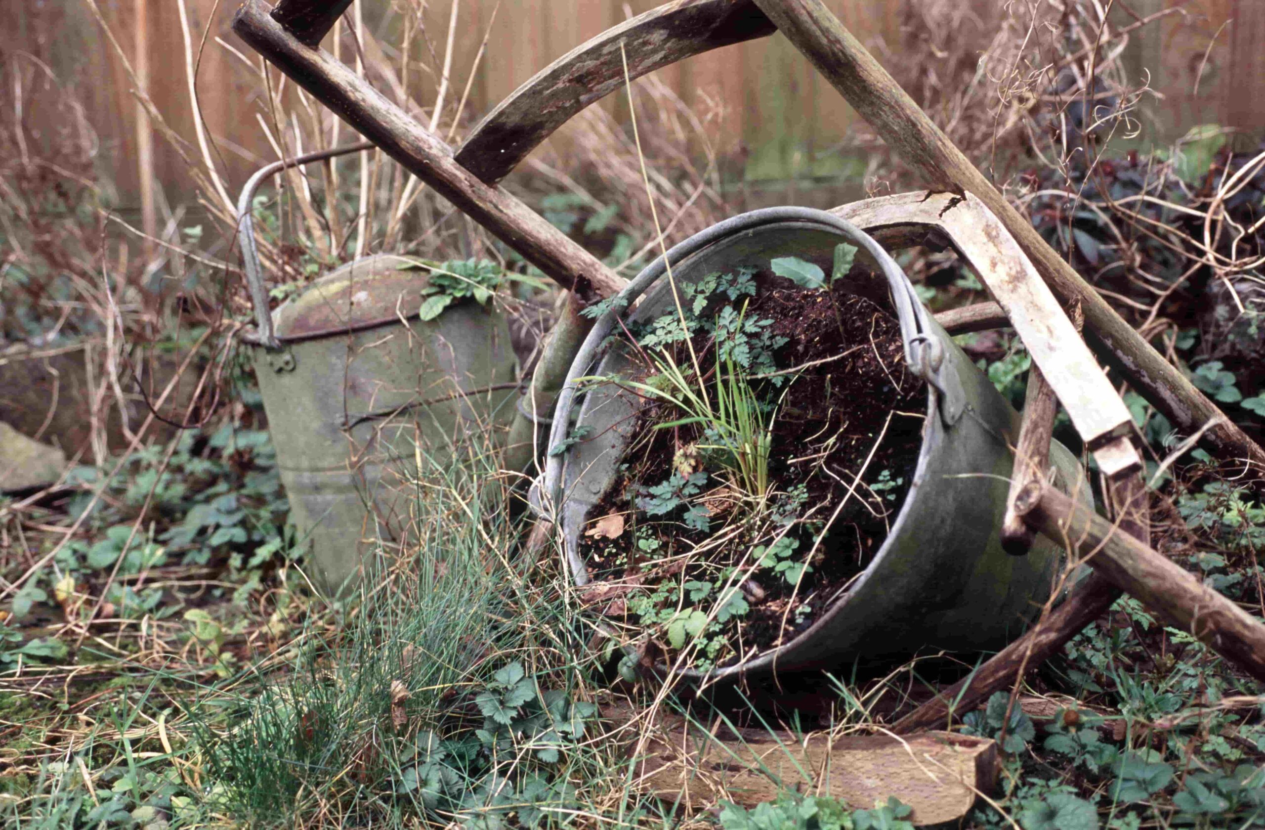 mini skip hire near me