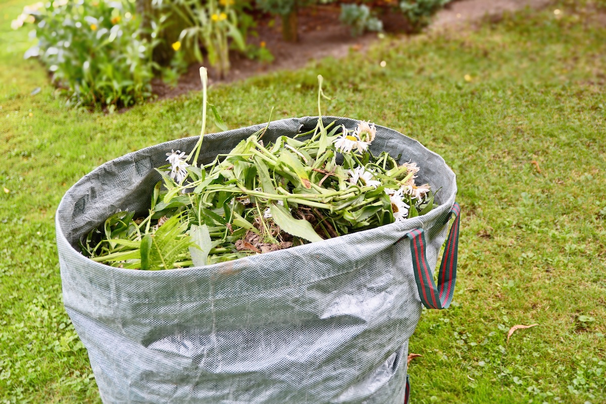 garden waste removal