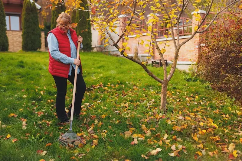 skip hire for garden waste
